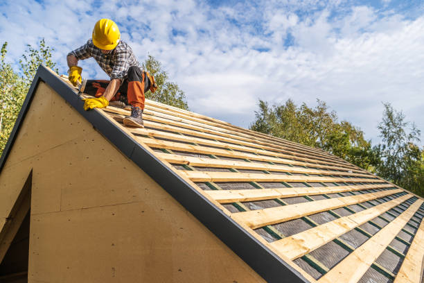 Best Commercial Roof Installation  in Clayton, AL